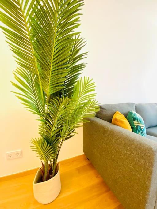 Appartement Luxury Brand New Flat With Terrace & Parking - Rtl1 *